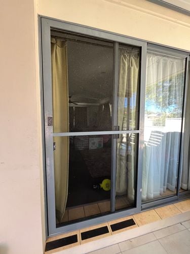 IMG_0212.jpeg IMG_0212.jpeg