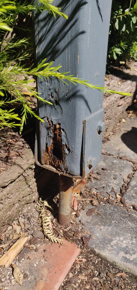 IMG_20211203_102331.jpg IMG_20211203_102331.jpg