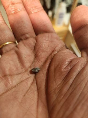 20230730_180803.jpg 20230730_180803.jpg