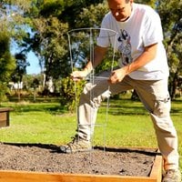 4.1. Insert plant supports.jpeg 4.1. Insert plant supports.jpeg