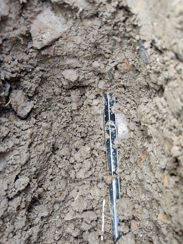 IMG_20250111_175728.jpg IMG_20250111_175728.jpg