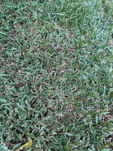 IMG_4346.jpeg IMG_4346.jpeg