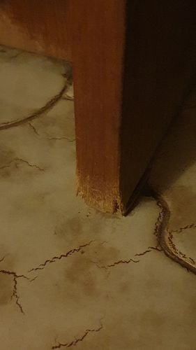 20250925_184600.jpg 20250925_184600.jpg