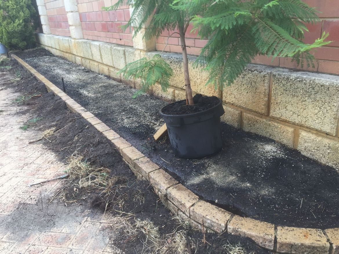 C859B1DE-27C9-4172-AF57-335DD0DF803B.jpeg C859B1DE-27C9-4172-AF57-335DD0DF803B.jpeg