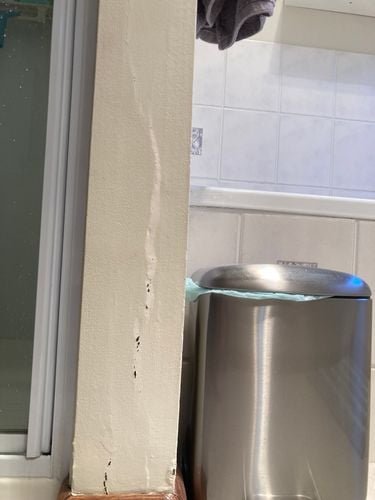 IMG_8962.jpeg IMG_8962.jpeg