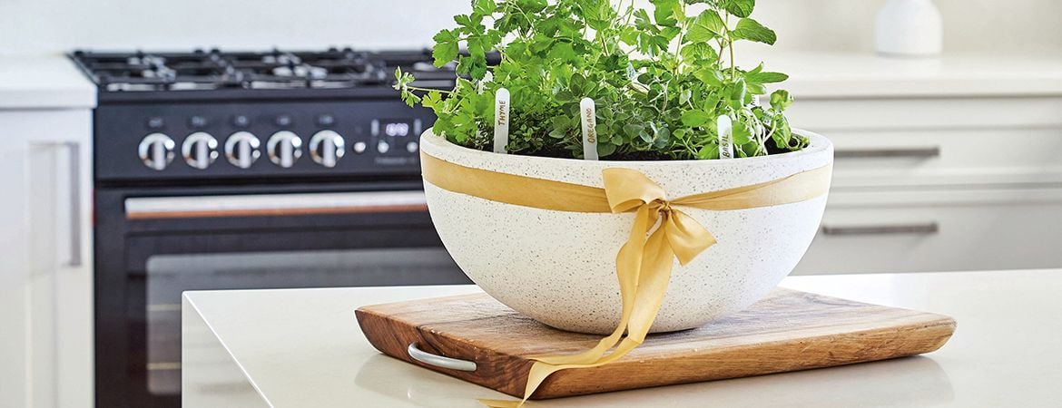 Herb bowl.jpeg Herb bowl.jpeg