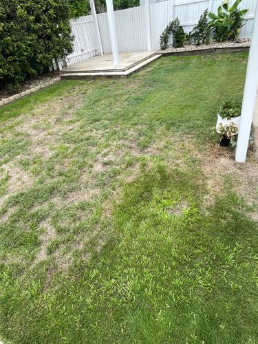 IMG_0791.jpeg IMG_0791.jpeg