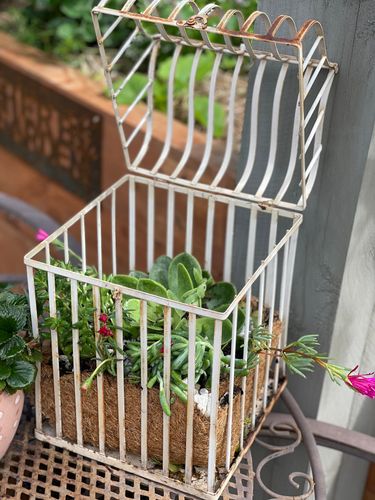 E875378F-03D9-4741-9D1F-A467AF8ADA78.jpeg E875378F-03D9-4741-9D1F-A467AF8ADA78.jpeg