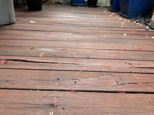 IMG_9507.jpeg IMG_9507.jpeg