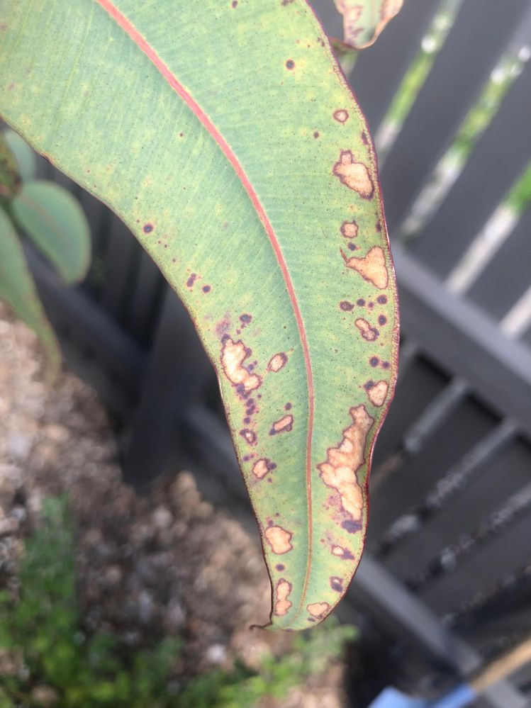 unnamed-1.jpg unnamed-1.jpg