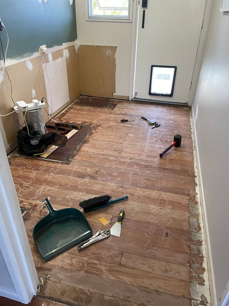 IMG_8293.JPG IMG_8293.JPG