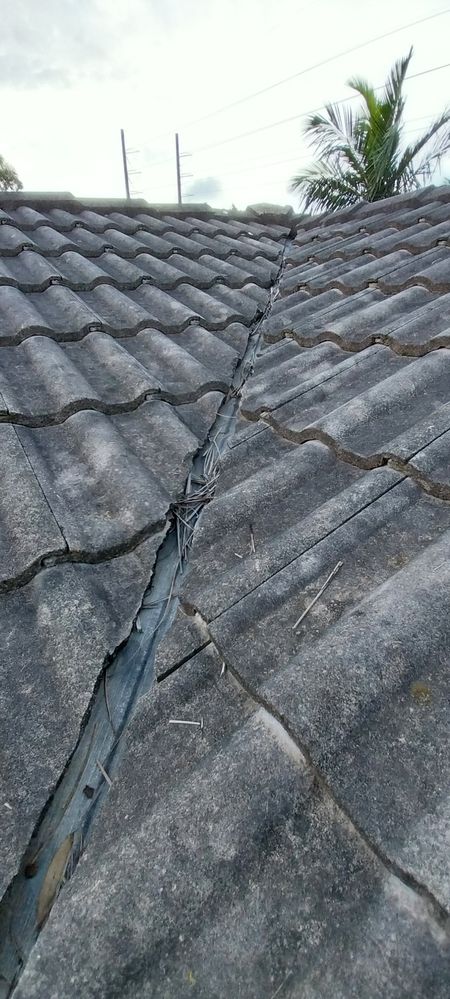 20241201_172517.jpg 20241201_172517.jpg