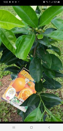 Screenshot_20220501-090229_Facebook.jpg Screenshot_20220501-090229_Facebook.jpg