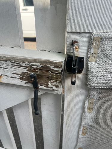 IMG_9992.jpeg IMG_9992.jpeg