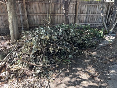 IMG_1961.jpeg IMG_1961.jpeg