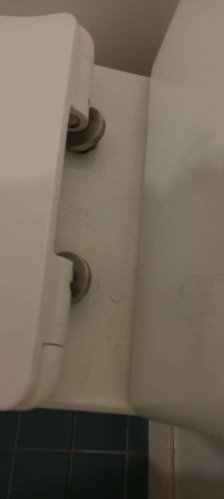 F8AAC76F-6111-4DB8-8F88-ABBD15F6C59E.jpeg F8AAC76F-6111-4DB8-8F88-ABBD15F6C59E.jpeg