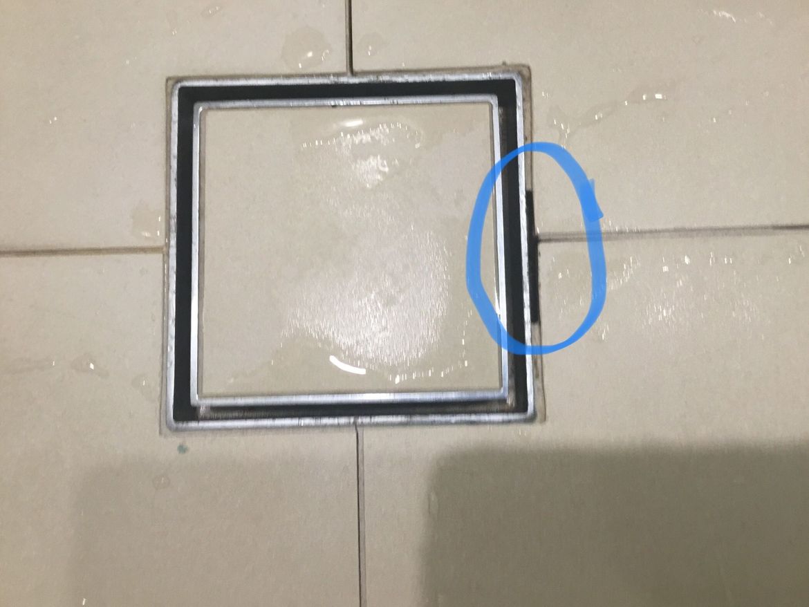 IMG_2090.jpeg IMG_2090.jpeg