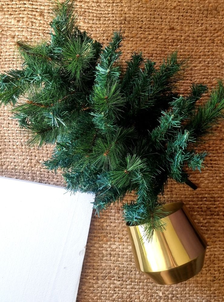 20231206_080412.jpg 20231206_080412.jpg