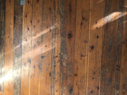 E089F788-9D4A-400E-BBCC-3CB981E43072.jpeg E089F788-9D4A-400E-BBCC-3CB981E43072.jpeg