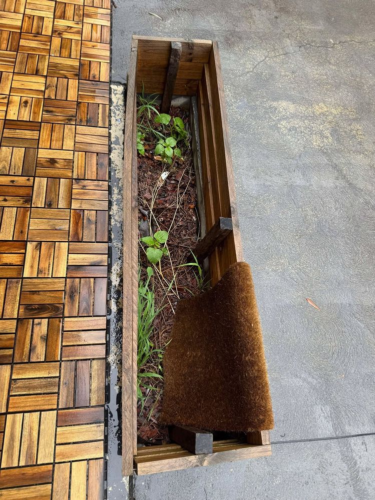 472793594_957418359190811_2607585468644812221_n.jpg 472793594_957418359190811_2607585468644812221_n.jpg