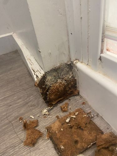 IMG_7932.jpeg IMG_7932.jpeg