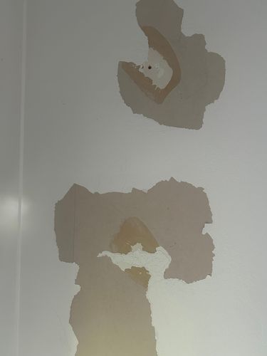 IMG_7015.jpeg IMG_7015.jpeg