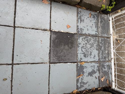 IMG_6645.jpeg IMG_6645.jpeg