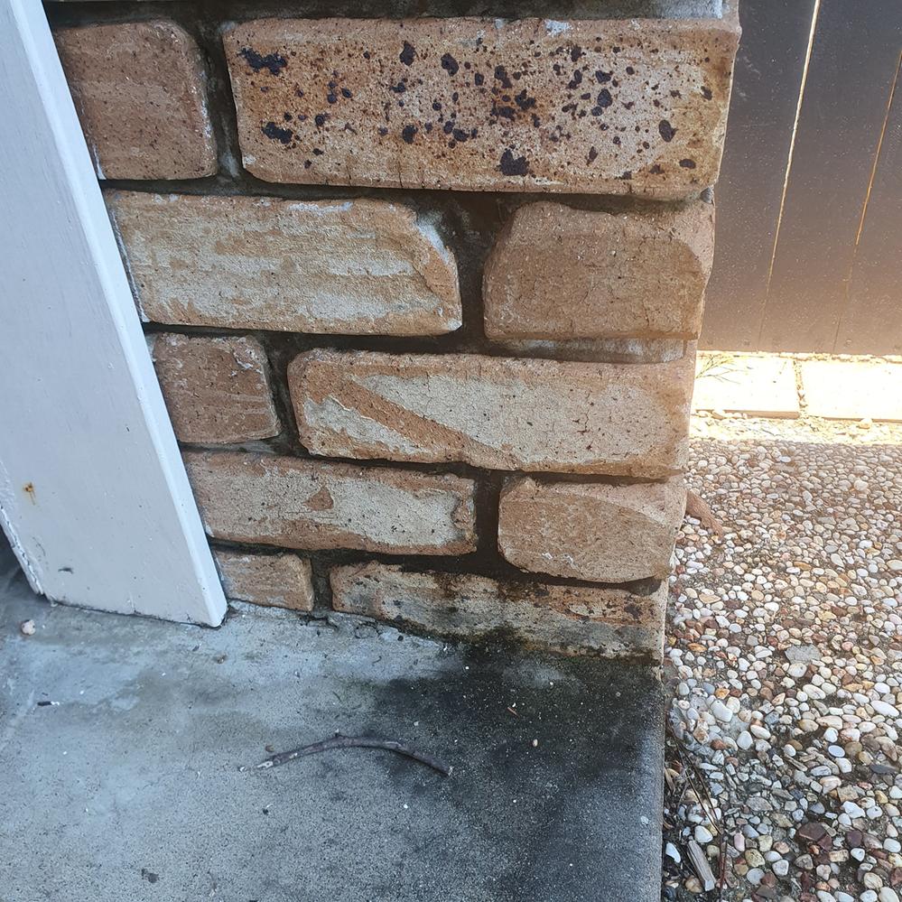 20240526_101523.jpg 20240526_101523.jpg