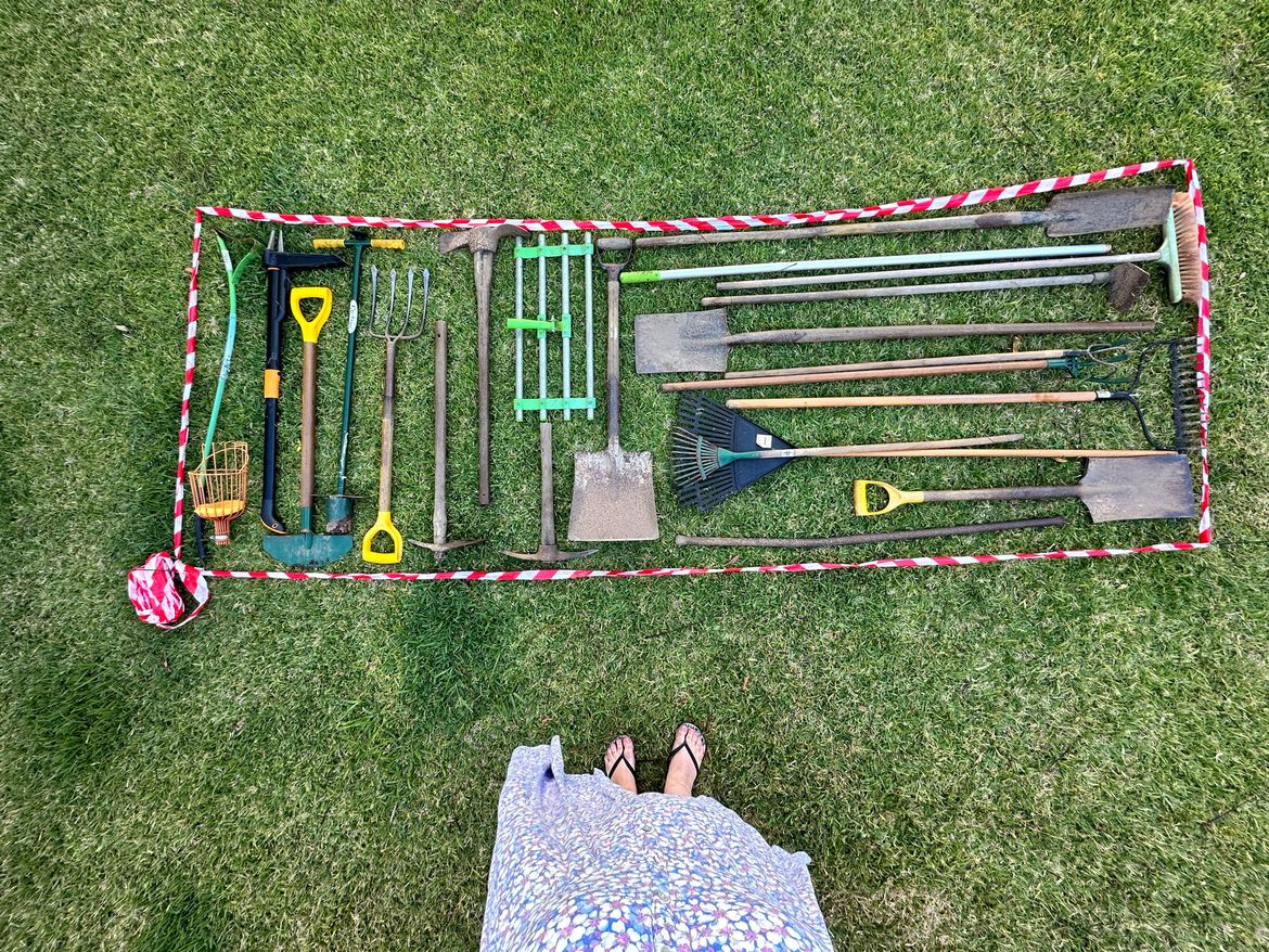 IMG_8535.JPG IMG_8535.JPG