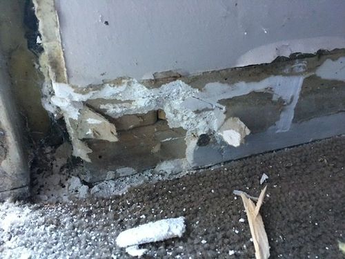 377759DF-A064-4F8D-81E1-A032D750A2ED.jpeg 377759DF-A064-4F8D-81E1-A032D750A2ED.jpeg