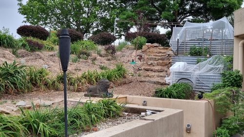 64b92c78-96f2-4e9b-b15a-9470e8be3a9e-1_all_12619.jpg 64b92c78-96f2-4e9b-b15a-9470e8be3a9e-1_all_12619.jpg