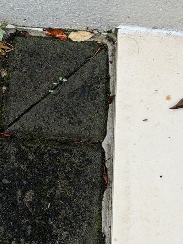 IMG_3716.jpeg IMG_3716.jpeg