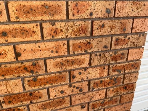 IMG_6326.jpeg IMG_6326.jpeg