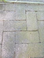 photo_2023-12-20_10-29-37.jpg photo_2023-12-20_10-29-37.jpg