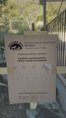 IMG_5372.jpeg IMG_5372.jpeg