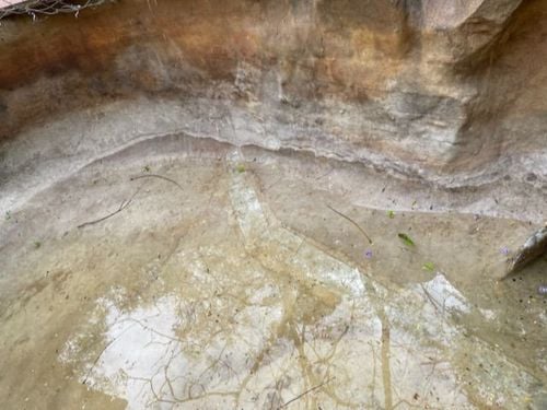 8281887D-527E-4C7F-92AF-F61D64F920D3.jpeg 8281887D-527E-4C7F-92AF-F61D64F920D3.jpeg