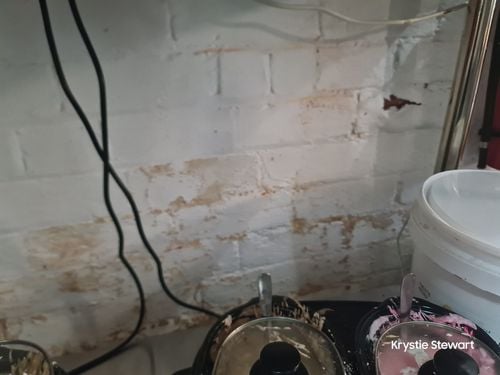 17146235732966930047965490331189.jpg 17146235732966930047965490331189.jpg