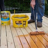 9. Oils are ideal for enhancing colour and grain of hardwood.jpg 9. Oils are ideal for enhancing colour and grain of hardwood.jpg