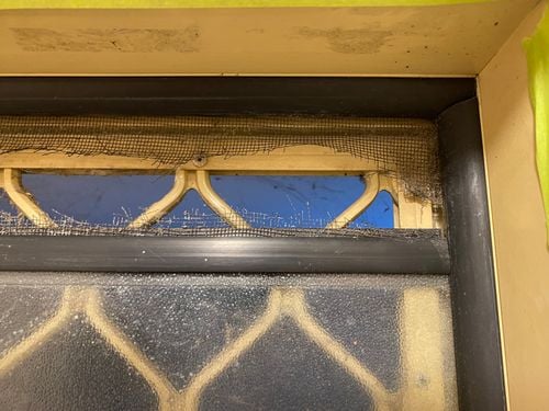 IMG_9021.jpeg IMG_9021.jpeg