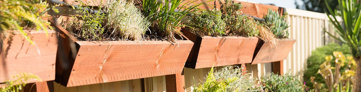 Hero 1.png Hero 1.png