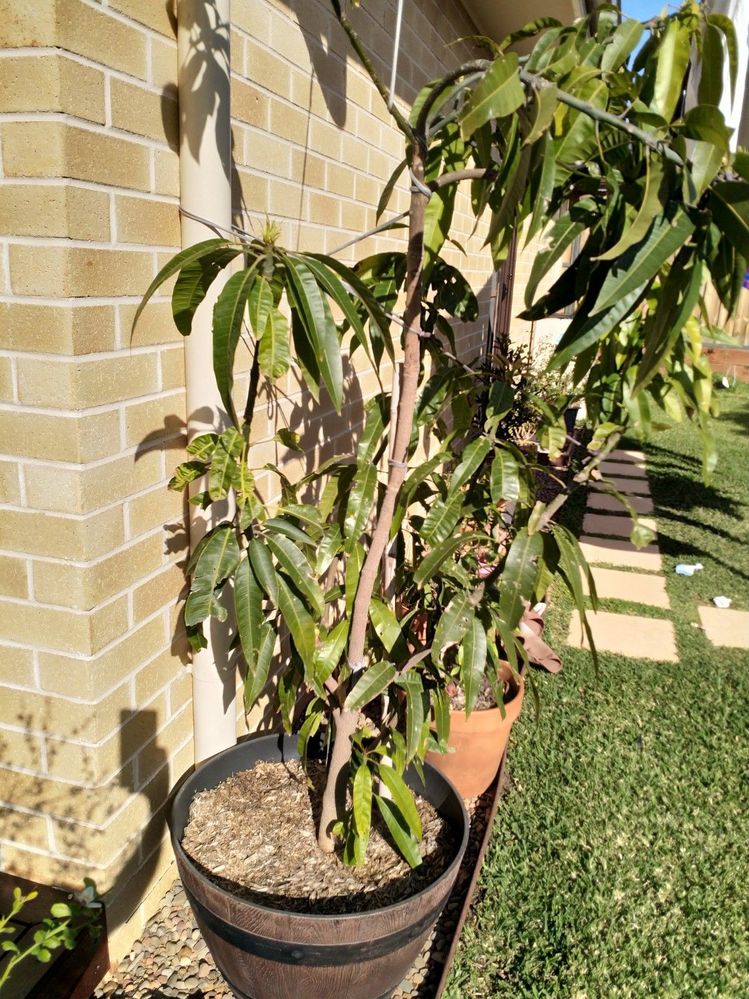 IMG_20210909_150312.jpg IMG_20210909_150312.jpg