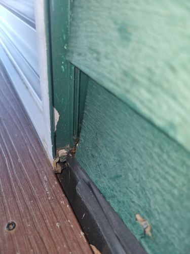 1000003417.jpg 1000003417.jpg