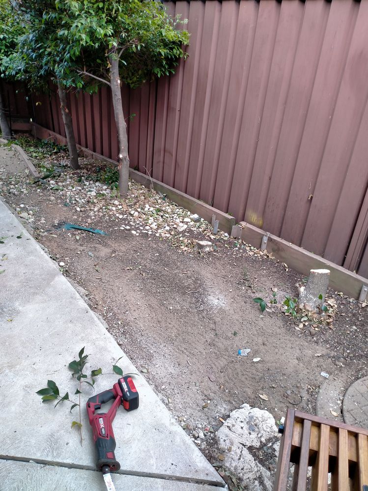 IMG20201014100729.jpg IMG20201014100729.jpg