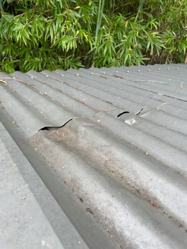 5D43B11B-6310-4F22-86AD-B9E7DD8C4249.jpeg 5D43B11B-6310-4F22-86AD-B9E7DD8C4249.jpeg