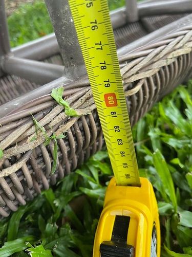 2875F43A-442D-4B86-B5BB-190013F6A6D6.jpeg 2875F43A-442D-4B86-B5BB-190013F6A6D6.jpeg