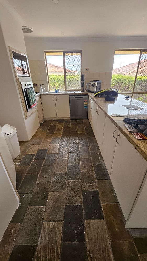 20241022_072550.jpg 20241022_072550.jpg