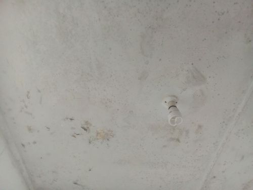 IMG_20240323_142651.jpg IMG_20240323_142651.jpg