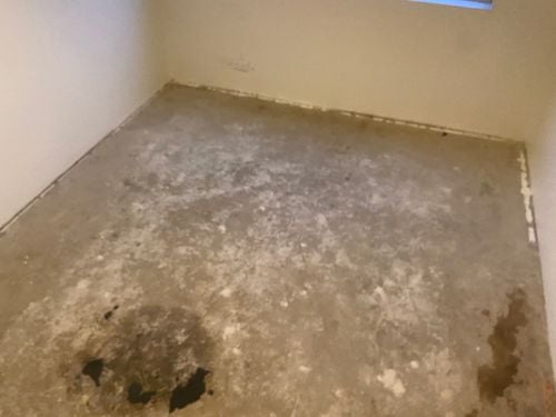 A06CCB78-D247-4EFA-8656-8AC96D678B90.jpeg A06CCB78-D247-4EFA-8656-8AC96D678B90.jpeg