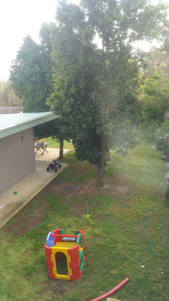 20180925_070533.jpg 20180925_070533.jpg