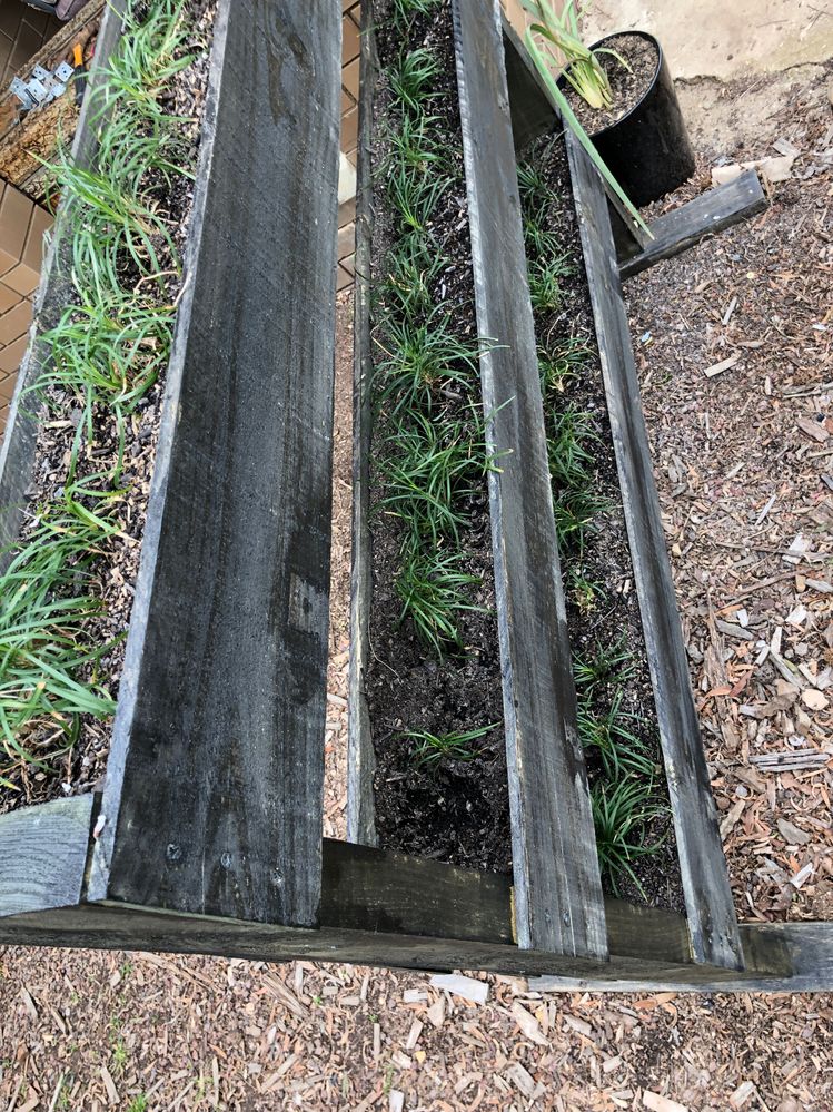 086F91D8-AC0F-4E5C-B824-8412C0E210CE.jpeg 086F91D8-AC0F-4E5C-B824-8412C0E210CE.jpeg